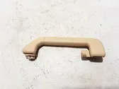 Rear interior roof grab handle