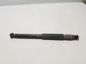 Rear shock absorber/damper