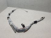 Airbag del techo
