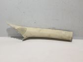 Other sill/pillar trim element
