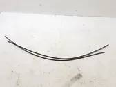 Roof trim bar molding cover