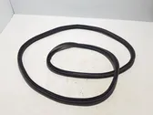 Trunk rubber seal (body)