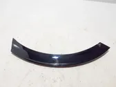 Fender trim (molding)