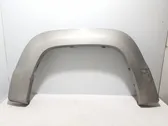 Fender trim (molding)