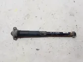 Rear shock absorber/damper