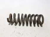 Front coil spring