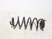 Muelle espiral trasero