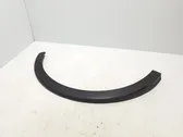 Fender trim (molding)