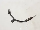 Exhaust gas temperature sensor