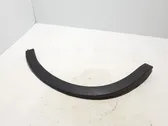 Fender trim (molding)