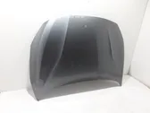 Engine bonnet/hood