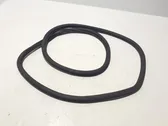 Rear door rubber seal (on body)