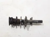 Front shock absorber/damper