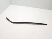 Windshield trim