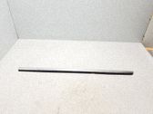 Moulure de porte arrière