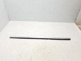 Listón embellecedor de la puerta delantera (moldura)