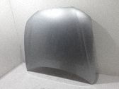 Motorhaube