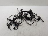 Engine installation wiring loom