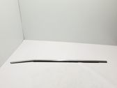 Verkleidung Türfenster Türscheibe vorne