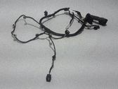 Other wiring loom