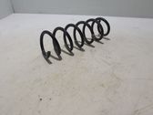 Front coil spring