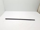 Front door glass trim molding