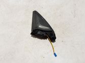 Panel speaker