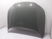 Engine bonnet/hood