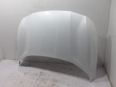 Engine bonnet/hood