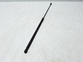 Amortiguador/puntal del capó/tapa delantero