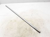 Rear door trim (molding)