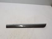 Rear door trim (molding)