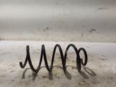 Front coil spring