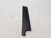 Listón embellecedor de la puerta delantera (moldura)