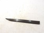 Moulure de porte avant