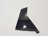 Rear door trim (molding)