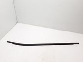 Rear door trim (molding)