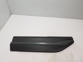 Rear door trim (molding)