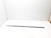 Front door glass trim molding