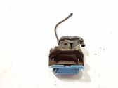 Bremssattel hinten