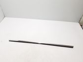 Listón embellecedor de la puerta delantera (moldura)