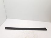 Front door trim (molding)