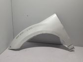 Fender