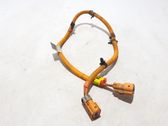 Other wiring loom