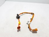 Other wiring loom