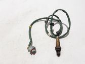 Sonde lambda