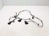 Parking sensor (PDC) wiring loom