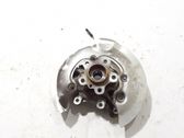 Rear wheel hub