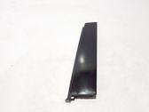 Rear door trim (molding)