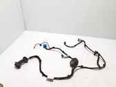 Other wiring loom
